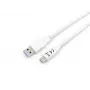 Equip USB 3.2 Gen 1 Typ-C auf A Kabel, M/M, 2 m