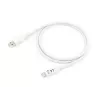 Equip USB 3.2 Gen 1 Typ-C auf A Kabel, M/M, 2 m