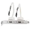 USB-Rückblende Lindy 2-Port USB 2.0 PC-Rückblende