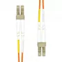 ProXtend DVI-D-18+1-Kabel, Schwarz, 2 m