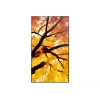 Sharp MultiSync M432 Digital Signage Flachbildschirm 108 cm (42,5 Zoll) LCD 550 cd/m² 4K Ultra HD Schwarz