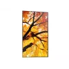 Sharp MultiSync M432 Digital Signage Flachbildschirm 108 cm (42,5 Zoll) LCD 550 cd/m² 4K Ultra HD Schwarz
