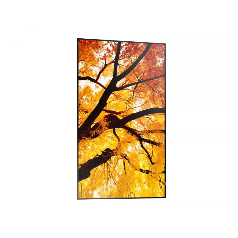 Sharp MultiSync M432 Digital Signage Flachbildschirm 108 cm (42,5 Zoll) LCD 550 cd/m² 4K Ultra HD Schwarz