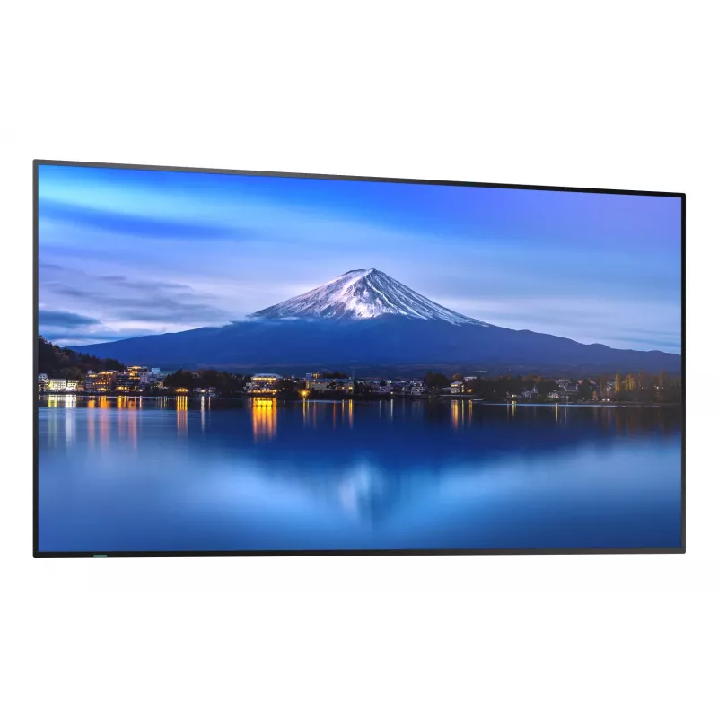 Sharp MultiSync P556 Kiosk-Design 139,7 cm (55 Zoll) LCD 700 cd/m² 4K Ultra HD Schwarz Eingebauter Prozessor