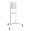 Vivolink VLFS3770 mobiler TV-Ständer, drehbar, VESA 200x200 - 600x400 mm, Weiß
