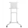 Vivolink VLFS3770 mobiler TV-Ständer, drehbar, VESA 200x200 - 600x400 mm, Weiß