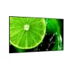 NEC MultiSync E758 Digital-Signage-Flachbildschirm 189,2 cm (74,5 Zoll) LED 400 cd/m² 4K Ultra HD Schwarz 18/7