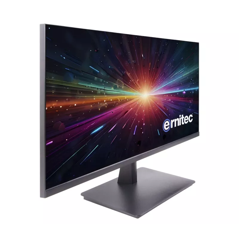 Ernitec 0070-24122-F 22-Zoll-Überwachungsmonitor