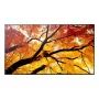 Digital-Signage-Flachbildschirm NEC MultiSync M862 — 86 Zoll (2,18 m) LCD, 4K UHD 3840×2160, 550 cd/m², 24/7, Schwarz