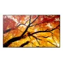 Sharp MultiSync PN-M752 189,2 cm (74,5 Zoll) LED 550 cd/m² 4K Ultra HD Schwarz 24/7