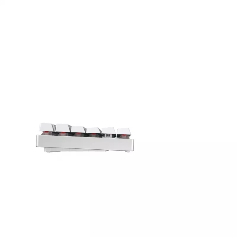 CHERRY MX 8.2 TKL Wireless RGB Tastatur Gaming RF Wireless + Bluetooth QWERTZ Deutsch Weiß