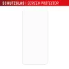 Displex Real Glass + Handyhülle-Set für Samsung Galaxy S25 FE, 02204