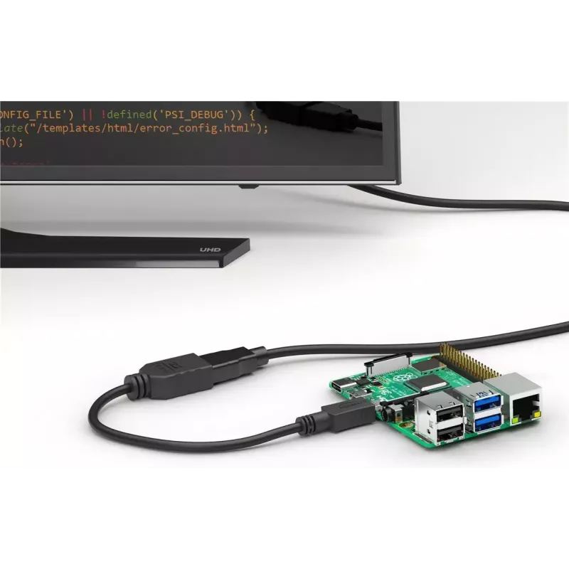 Goobay Wentronic 58683 Adapter von Micro HDMI (Typ D) auf HDMI (Typ A)