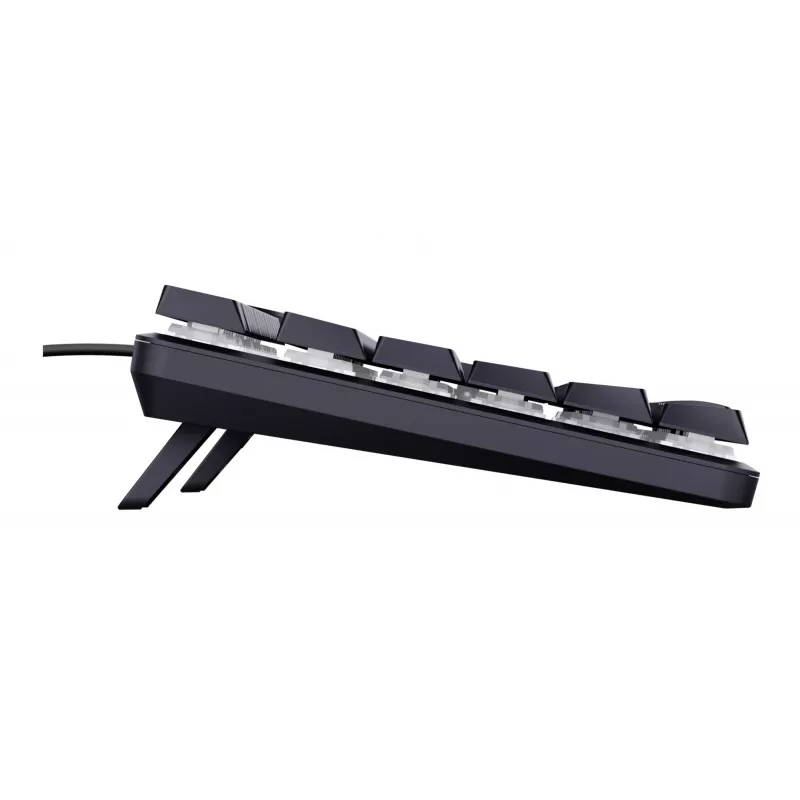 Trust GXT 866 Torix 24910 mechanische Gaming-Tastatur, kabelgebunden USB, beleuchtet, QWERTY US International, Schwarz