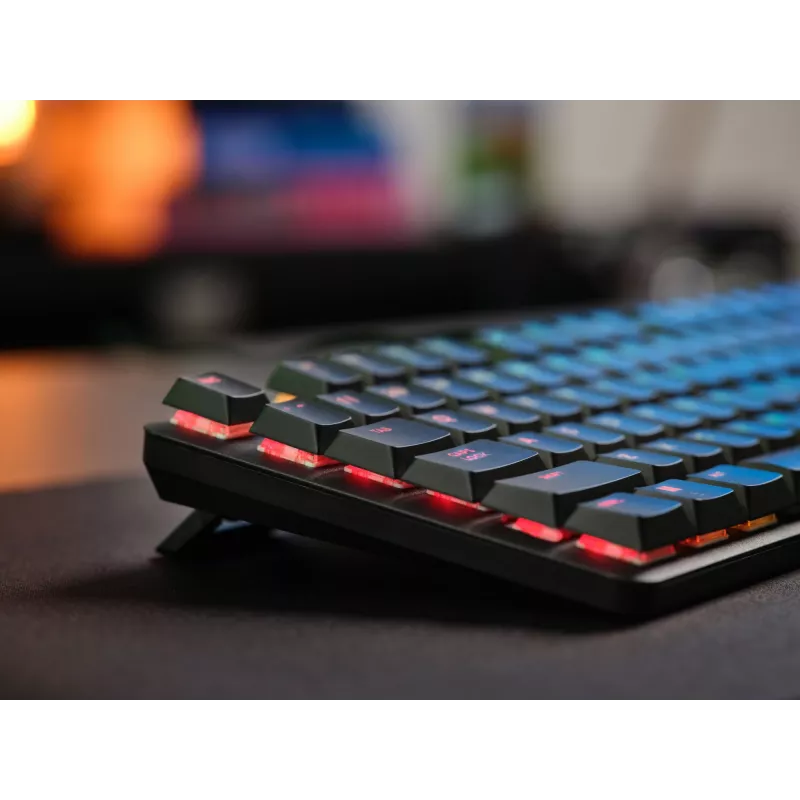 Trust GXT 866 Torix 24910 mechanische Gaming-Tastatur, kabelgebunden USB, beleuchtet, QWERTY US International, Schwarz
