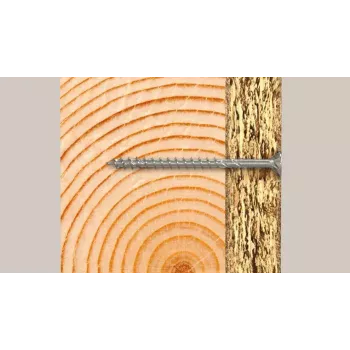 Schraube Fischer 670365 100 mm