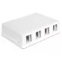 DeLOCK 86208 Keystone Aufputzdose, 4 Ports, Weiß