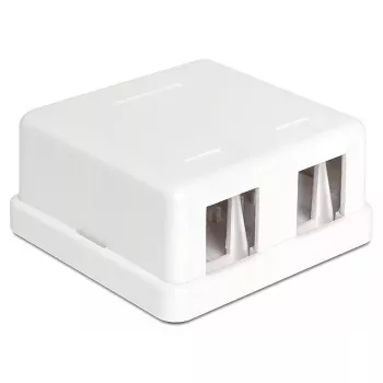 DeLOCK 86207 Keystone leere Aufputzdose, 2 Ports, Weiß
