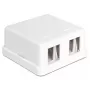 DeLOCK 86207 Keystone leere Aufputzdose, 2 Ports, Weiß