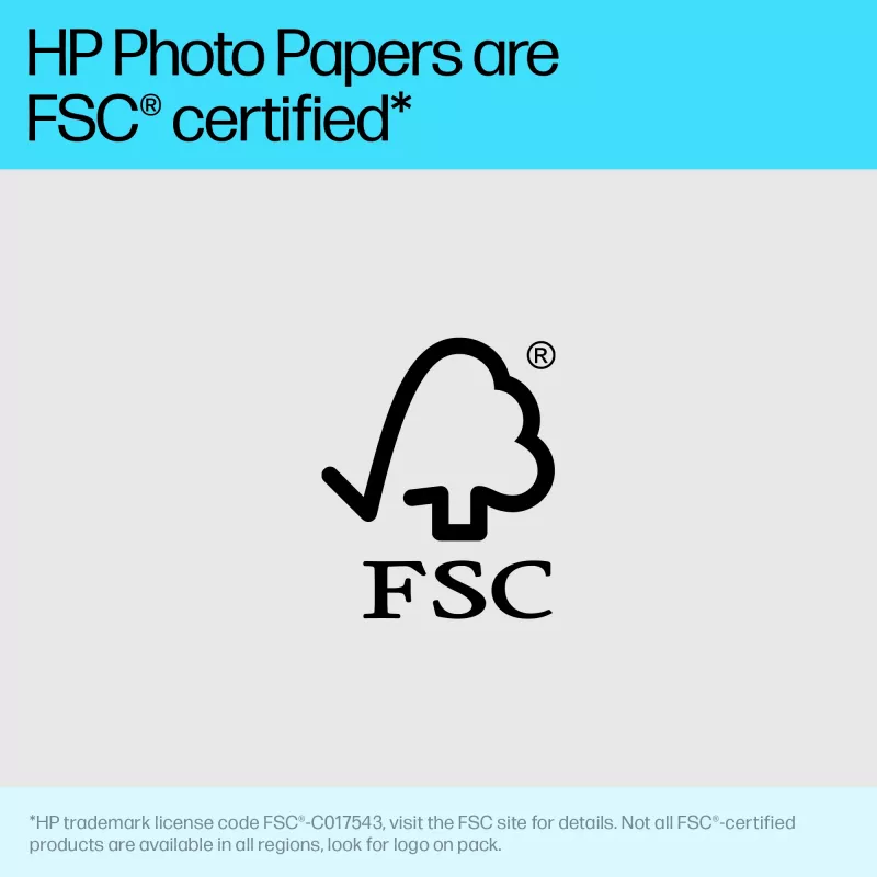 HP 49V51A Advanced Fotopapier, glänzend, 4 x 12 Zoll (102 x 305 mm), 250 g/m², 65 lb, 10,5 mil, 10 Blatt