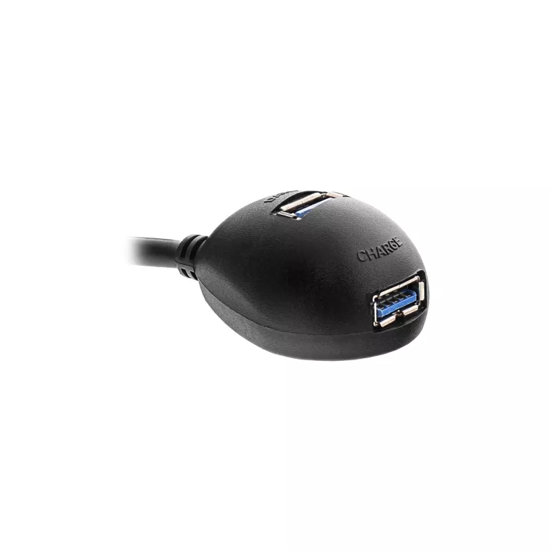 InLine USB 3.2 Gen.1 Kabel USB Typ A Stecker / A Buchse + Stromversorgung, mit Ständer, schwarz, 1 m