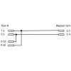 InLine TAE-N Kabel TAE-N / RJ11 Adapter 6P2C gebrückt 6 m