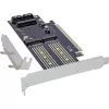 InLine 76660T Schnittstellenkarten/Adapter Intern M.2, mSATA