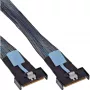 InLine 27661A Serial Attached SCSI (SAS)-Kabel 0,5 m 24 Gbit/s Schwarz, Blau, Grau