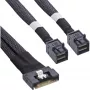 InLine schlank SAS, da SFF-8654 8i a 2x SFF-8643, 0,75m