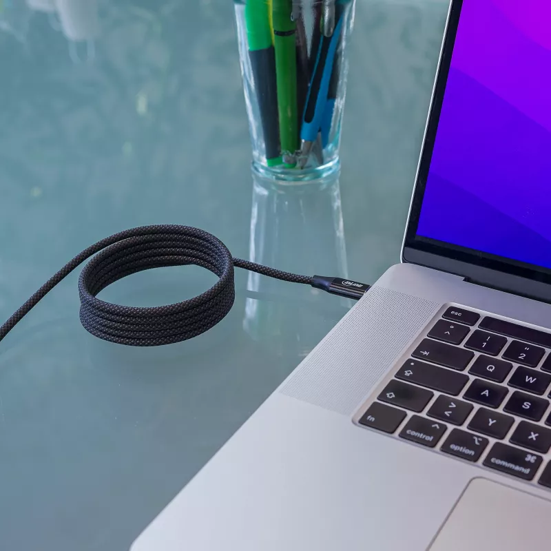 InLine Magnetic USB-C-Kabel, USB-C-Stecker/Stecker, 100W, schwarz, 2m