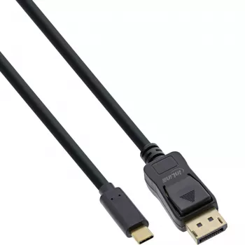 InLine USB-Displaykabel, USB-C-Stecker auf DisplayPort-Stecker, 2 m
