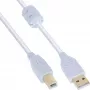 InLine USB 2.0 Kabel Typ-A-Stecker / Typ-B-Stecker, vergoldet, mit Ferrit, weiß, 5 m