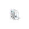 Epson SureColor SC-P900 Fotodrucker mit Rollenzuführung, Farb-Tintenstrahl, A2+ (43,2 cm / 17"), 5760 x 1440 dpi, 10 Farben, WLAN, Ethernet-LAN, USB
