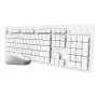 Trust Ody II Tastatur Maus included Home/Office RF Wireless German White