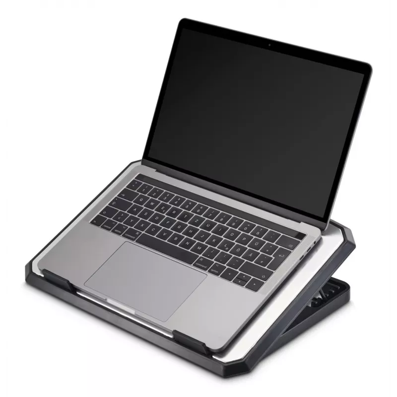 Hama 00126807 Laptop-Kühler aus Aluminium, neigbar, 2 Lüfter, bis 39,6 cm (15,6 Zoll), Schwarz