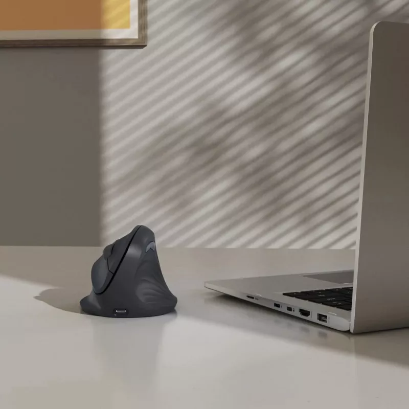 Hama EWM-600R Maus Büro Rechtshänder RF Wireless + Bluetooth Optisch 1800 DPI