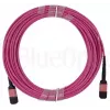 BlueOptics AV28-BO Multimode-LWL-Trunkkabel, MPO/UPC auf MPO/UPC, OM4, 15 m, Magenta