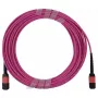 BlueOptics AV28-BO Multimode-LWL-Trunkkabel, MPO/UPC auf MPO/UPC, OM4, 15 m, Magenta