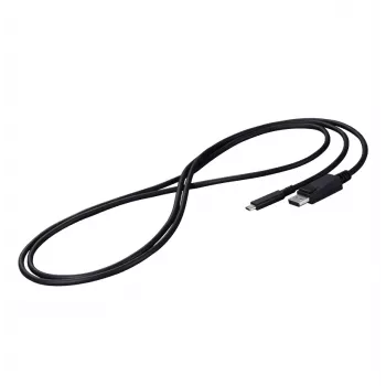 EIZO CP200-BK DisplayPort-Kabel 2 m USB Type-C Schwarz