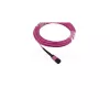 Glasfaserkabel BlueOptics SFP5252FU50MKB MPO OM4 50 m Violett