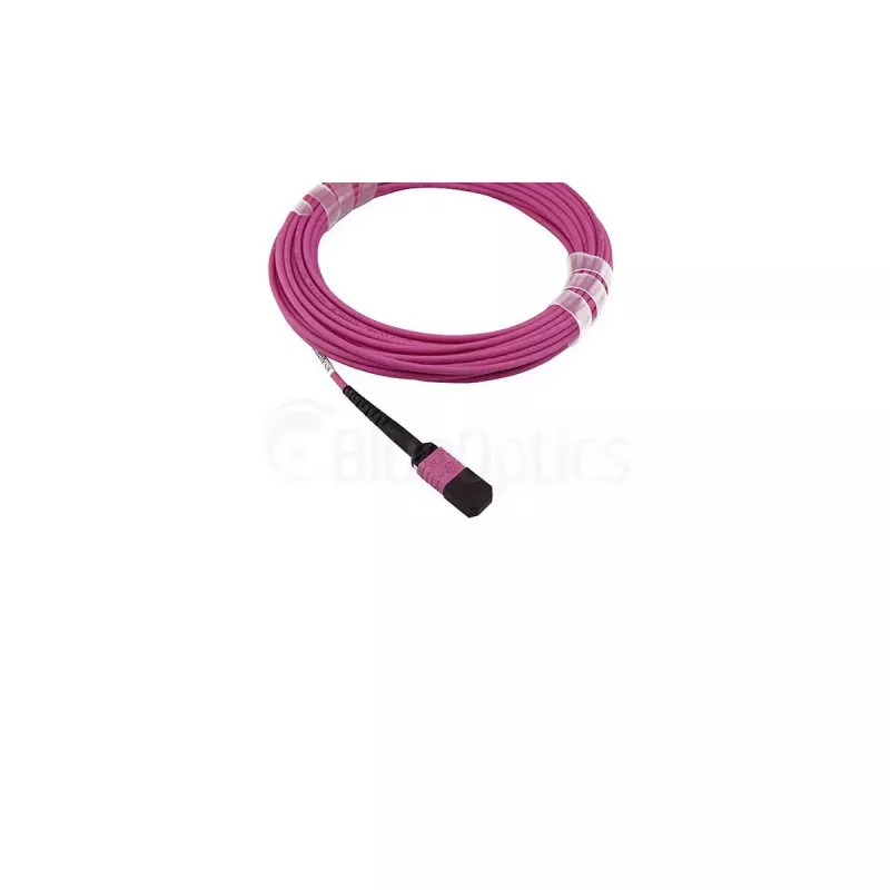 Glasfaserkabel BlueOptics SFP5252FU50MKB MPO OM4 50 m Violett