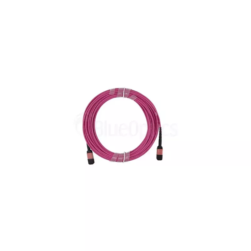 Glasfaserkabel BlueOptics SFP5252FU50MKB MPO OM4 50 m Violett