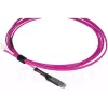 Glasfaserkabel BlueOptics SFP9231FU3MK MDC LC OM4 3 m Magenta