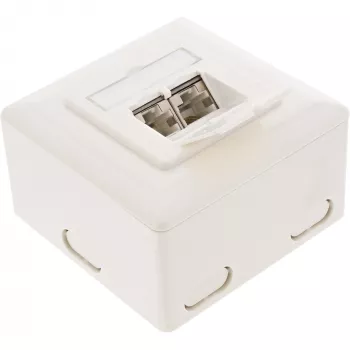 InLine 75602K Wandanschlussdose, Aufputz- oder Unterputzmontage, 2x RJ45 vertikal