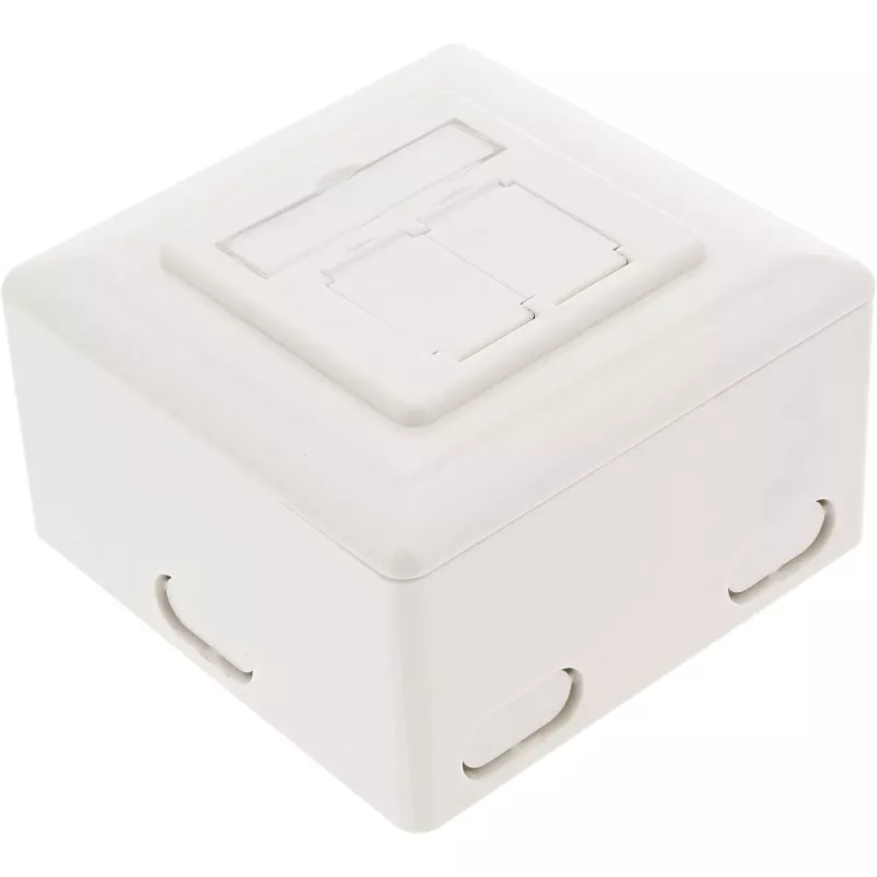 InLine 75602K Wandanschlussdose, Aufputz- oder Unterputzmontage, 2x RJ45 vertikal