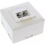 InLine Unterputzdose Cat.6A Aufputz 2x RJ45 Buchse RAL9010 weiß