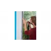 Insektenschutzgitter für Fenster TESA Insect Stop 55396-00020-00