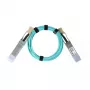 BlueOptics QSFP-AOC-50M-SW-BO 50 m QSFP Active Optical Cable, 40GBASE-SR4