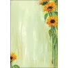 Art Paper Sheets Sigel DP694 25 Blatt