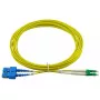 BlueOptics SFP3132BU3MX InfiniBand-Glasfaserkabel 3 m LC SC